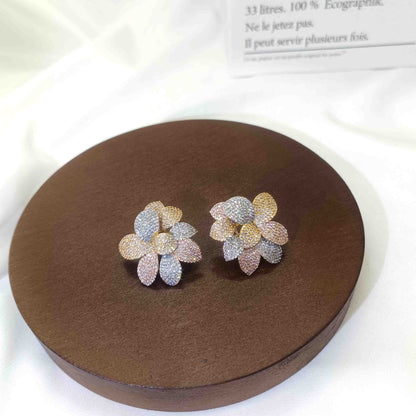 Earrings SJ052402E